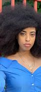 Image result for Biggest Afro Guinness World Records