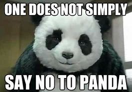 Image result for Panda Bear Meme