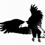 Image result for Flying Eagle Sketch