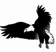 Image result for Eagle Sketch Black White