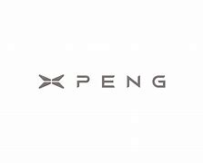 Image result for Xiaopeng Logo