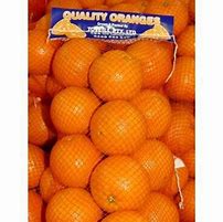 Image result for Bag of Florida Oranges