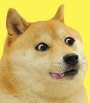 Image result for Angry Doge Memes