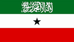 Image result for Somalia National Flag