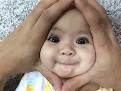 Image result for Introducing Baby Funny