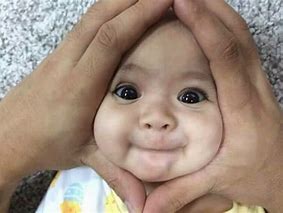 Image result for Cute Pics of Babies Funny