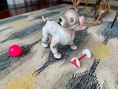 Image result for Aibo Decorations