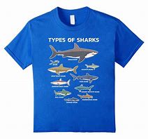 Image result for Sharks in Paris T-Shirt