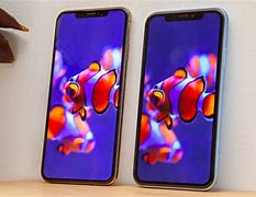 Image result for iPhone X and XR Comparison