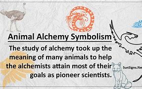 Image result for Alchemy Animal