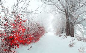 Image result for Wintery Red Backgrounds