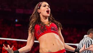 Image result for WWE Brie Bella Birthday