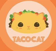 Image result for Mexican Taco Cat