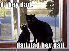 Image result for Father's Day Cat Meme