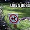 Image result for Bumble Cat Funny Meme