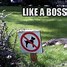 Image result for Funniest Animal Memes Ever