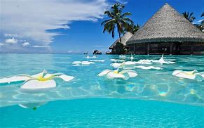 Image result for Most Beautiful Beaches in the World Wallpaper
