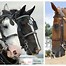 Image result for Horse Bridles and Bits