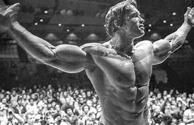 Image result for Arnold Schwarzenegger Contest