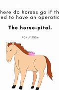 Image result for Funny Horse Jokes