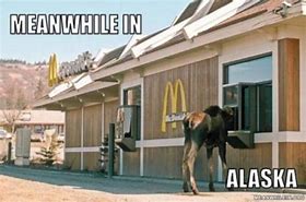 Image result for Mike Dunleavy Alaska Memes