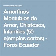 Image result for Amorfinos