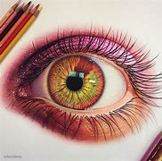 Image result for Eye Drawing Color