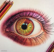 Image result for Colored Pencil Art Canon