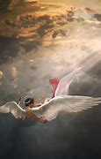 Image result for Fallen Angels From Heaven
