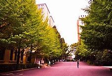 Image result for Waseda University Mug