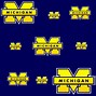 Image result for Michigan Football Quotes