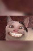 Image result for Creepy Smiling Cat Meme