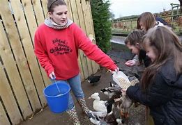 Image result for Farm Attractions