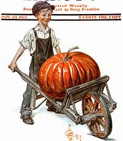 Image result for Pumpkin Picking in 1891