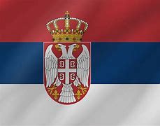 Image result for Serbia Flags Blank