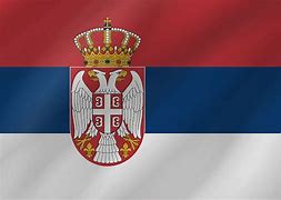 Image result for Serbian National Flag