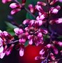 Image result for Spring Panorama