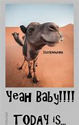 Image result for Hump Day Baby Funny Meme