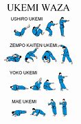 Image result for Judo Ukemi