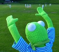 Image result for Kermit Cheering