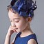 Image result for Girls Hair Accessories