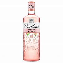 Image result for Gordon's Flavoured Gin