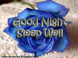 Image result for Wholesome Goodnight Memes