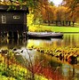 Image result for 1600X900 HD Nature Wallpapers