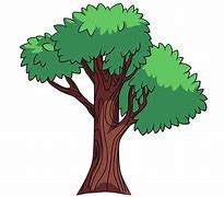 Image result for Tall Tree Cartoon