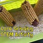 Image result for Jimmy Cracked Corn