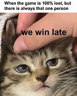 Image result for Funny Cat Memes LOL