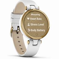Image result for Garmin Lily Classic Smartwatch
