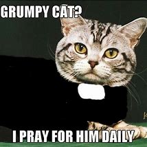 Image result for Kitty Church Memes