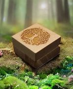 Image result for Pictures of Dibbuk Box Tree of Life